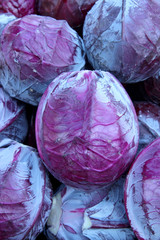 Fototapeta na wymiar head of red cabbage
