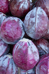 Fototapeta na wymiar closeup of red cabbage