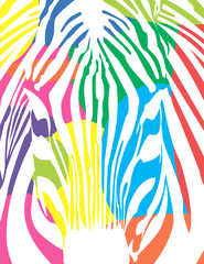 Head of a zebra close up. Vector colorful image. White stripes on a colored background.