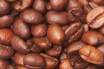 Coffee beans closeup