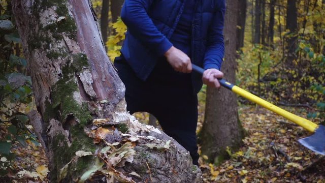 Closeup portrait of a forester, legs, ax, shoes. Close-ups of a man with an ax in the forest.
