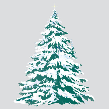 Christmas tree with snow-covered branches isolated on gray background. Sketch for greeting card, festive poster or party invitations. Attributes of Christmas and New year. Vector cartoon close-up.