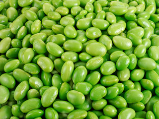FRESH VEGETABLE SOYA BEANS