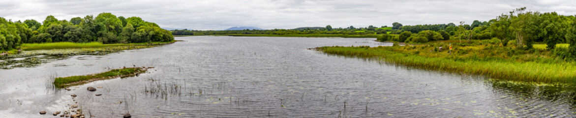 Panorama of a lake with tree reflection in a cloudy day