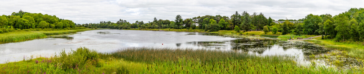Panorama of a lake with tree reflection in a cloudy day