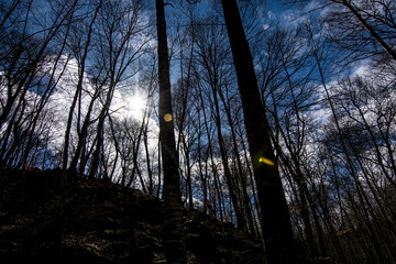 La Fageda