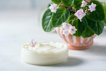 Obraz na płótnie Canvas Cosmetic cream and Flowering Saintpaulias, African violet. Mini Potted plant. on a white background wooden table