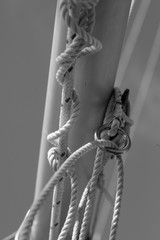 Cords and rigging on a sailboat