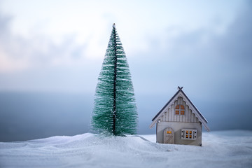 Wooden house with spruce in the snow in the sunlight