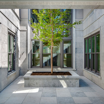 Tree in office lobby