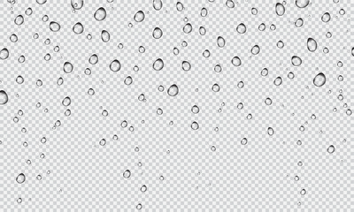 Water fizzing bubbles texture on white background. Foam effect. Vector illustration. Fizzy bubbles under water.