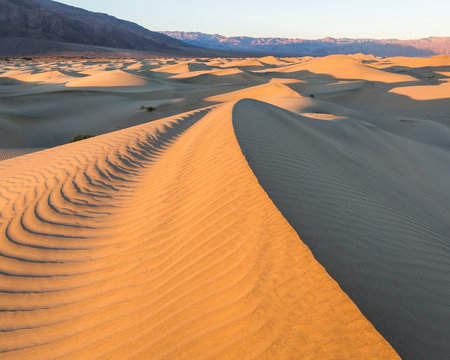 View of Mesquite Flat Sand Dunes in Death Valley National Park