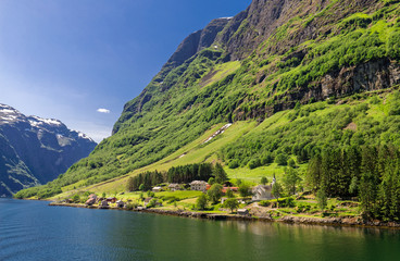 Fototapeta premium Norwegen Fjord Dorf