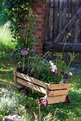 Fototapete bei efototapeten.de bestellen   