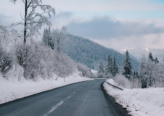 Fototapeta premium snowy road in winter forest
