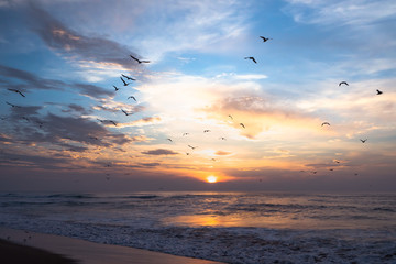 Beautiful sunset over the sea and flying birds