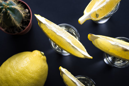 Top view on tequila shots with lemon slices on top, lemon and prickly cactus on dark background.