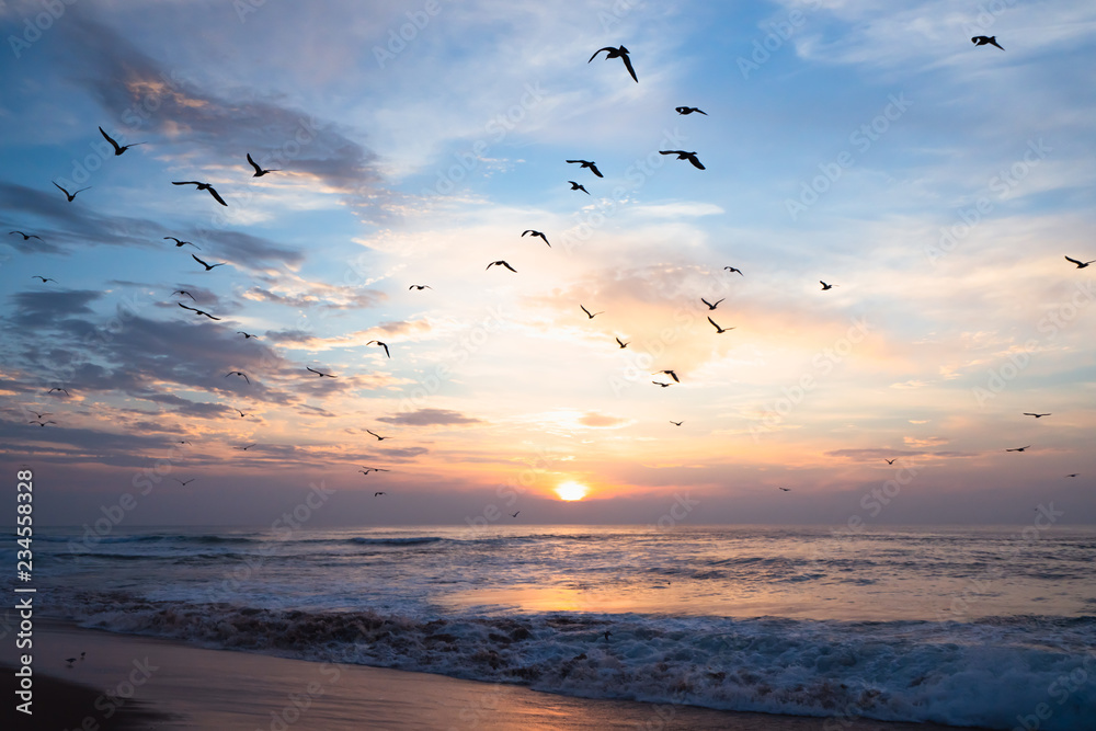 Wall mural beautiful sunset over the sea with flying birds - Wall murals