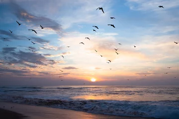 Zelfklevend Fotobehang Beautiful sunset over the sea with flying birds © Hanna Tor