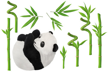 Baby panda and bamboo clip art small kit on white background © Julia