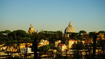 Fototapeta na wymiar view of the dome of St. Peter with houses and plants in the foreground from a hill in the afternoon light