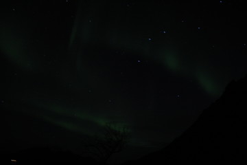 Tromso