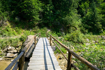 Wooden bridge over river.