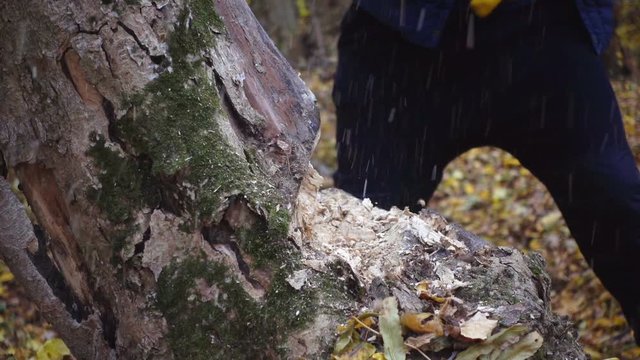 Closeup portrait of a forester, legs, ax, shoes. Close-ups of a man with an ax in the forest.
