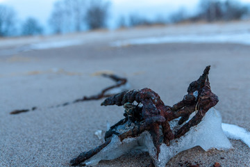 frozen sea side beach in winter with lots of ice and snow