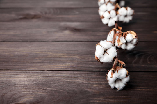 Branch of white cotton flowers on brown wooden table with copy space