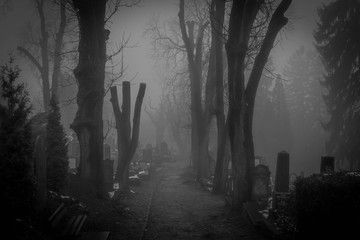 Fog in the creepy graveyard of Sighisoara, Romania