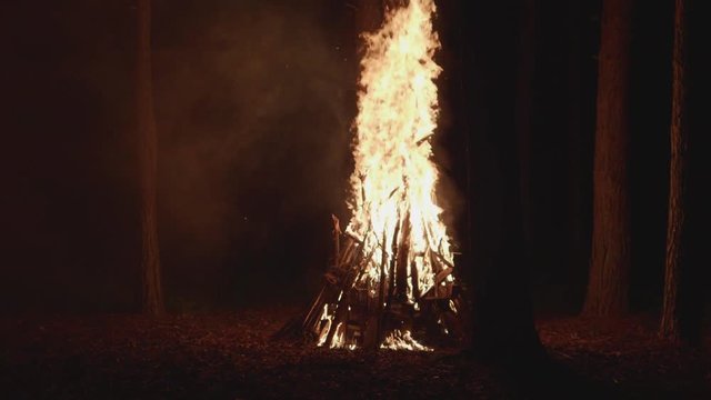 burning fire in slow motion in the dark forest