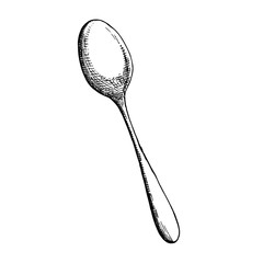 spoon sketch vector cutlery. isolated object