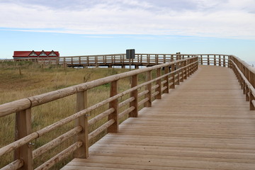 wooden path over dunes on the beach