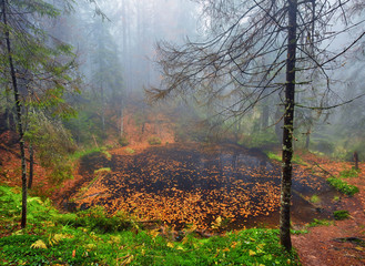 Lake in the forest, autumn time