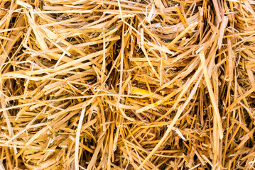 Photograph of dried hay stack