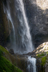 Obraz premium waterfall in forest