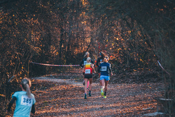 Group of athletes running the country race in the mountain trail