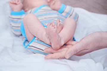 The tiny feet of the newborn in the hands of the mother. The concept of motherhood and child...