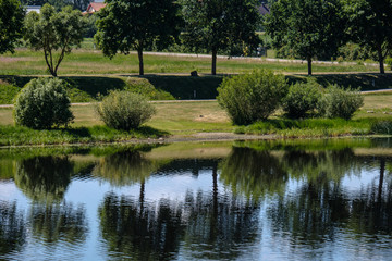 calm summer day view by the lake with clean water