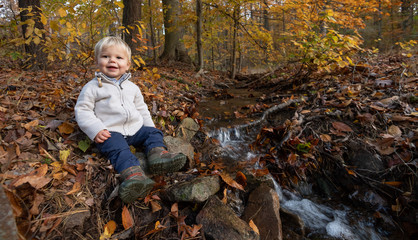 Little Boy in Autumn 