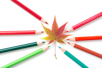 色鉛筆と秋色のモミジ