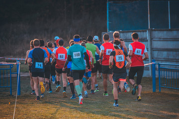 Group of professional athletes on cross country race