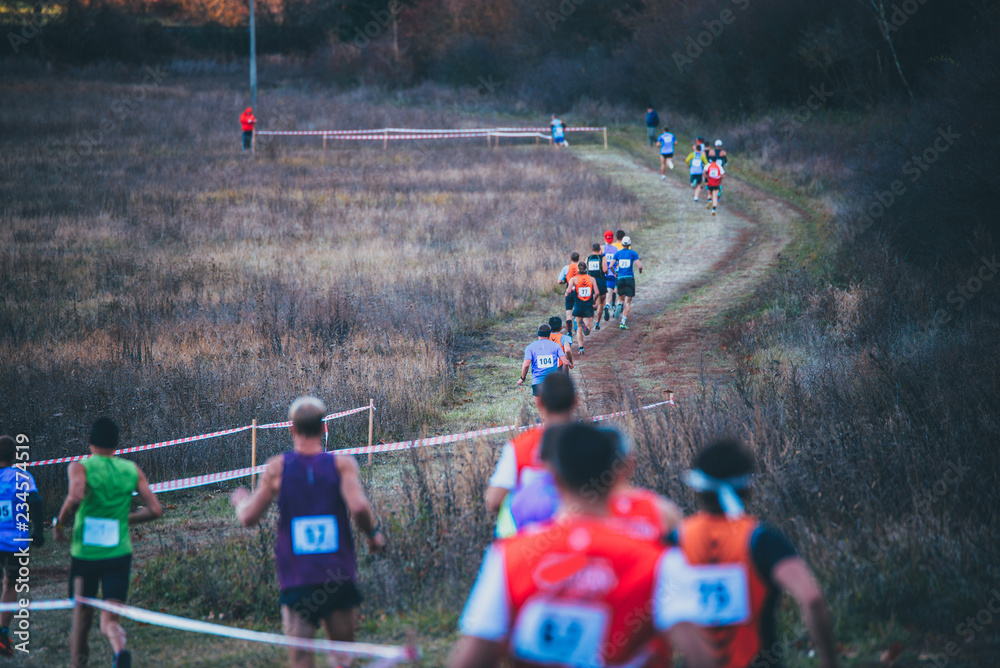 Wall mural male cross country athletics championship