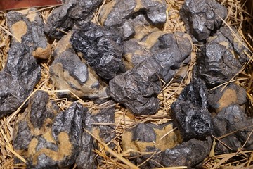 Raw gems are commodity prices.