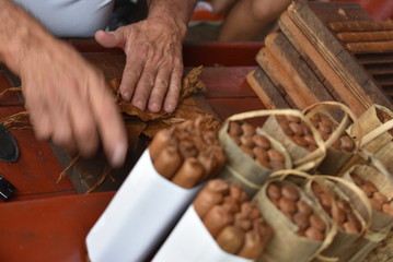 old man making a cuban cigar