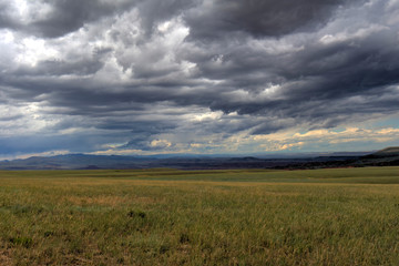 Summer Storm