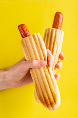 Two grilled french hot dogs in woman's hand
