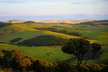 View of the TePaki Giant Sand Dunes at Cape Reinga (Te Rerenga Wairua), the northwesternmost tip of the Aupouri Peninsula, at the northern end of the North Island of New Zealand