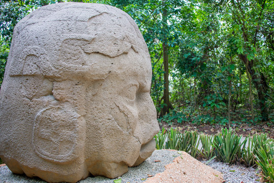 cabeza olmeca de piedra tabasco mexico, selva 